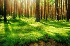世界游泳接力队训练营营养与康复方案第42版公布，游泳接力联合队