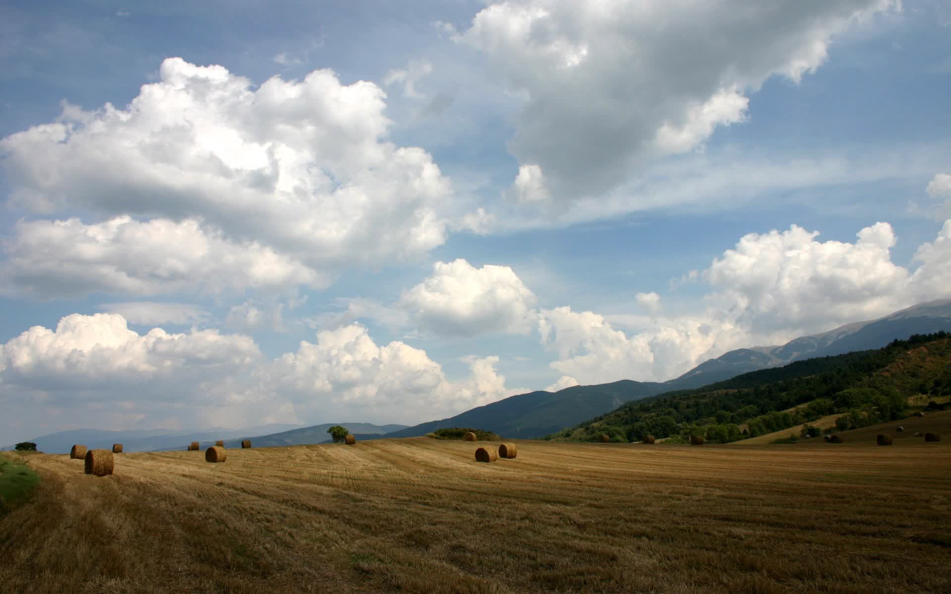 2026世界杯48强最终名单今日截止：解析5位意外落选的亿级巨星。，2026世界杯48队晋级规则